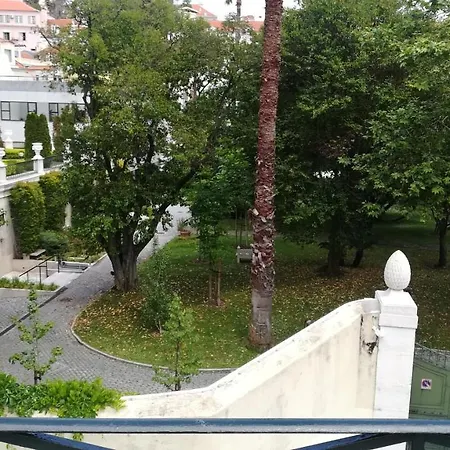 Jacaranda *